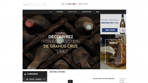 Site e-commerce de vin et champagne à vendre sur vente-site